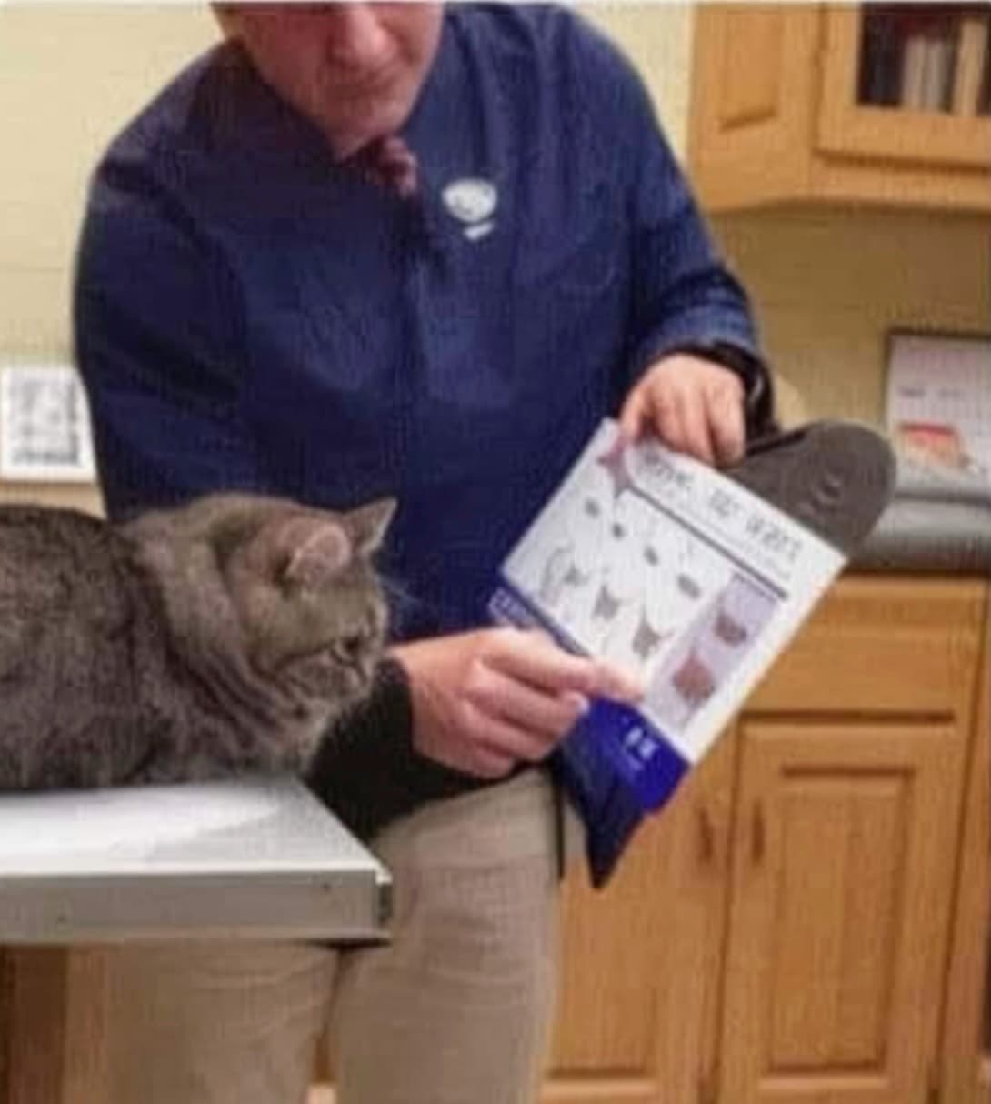 Le fat cat