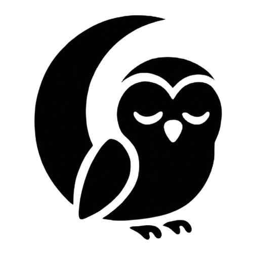Noctune Owl Logo